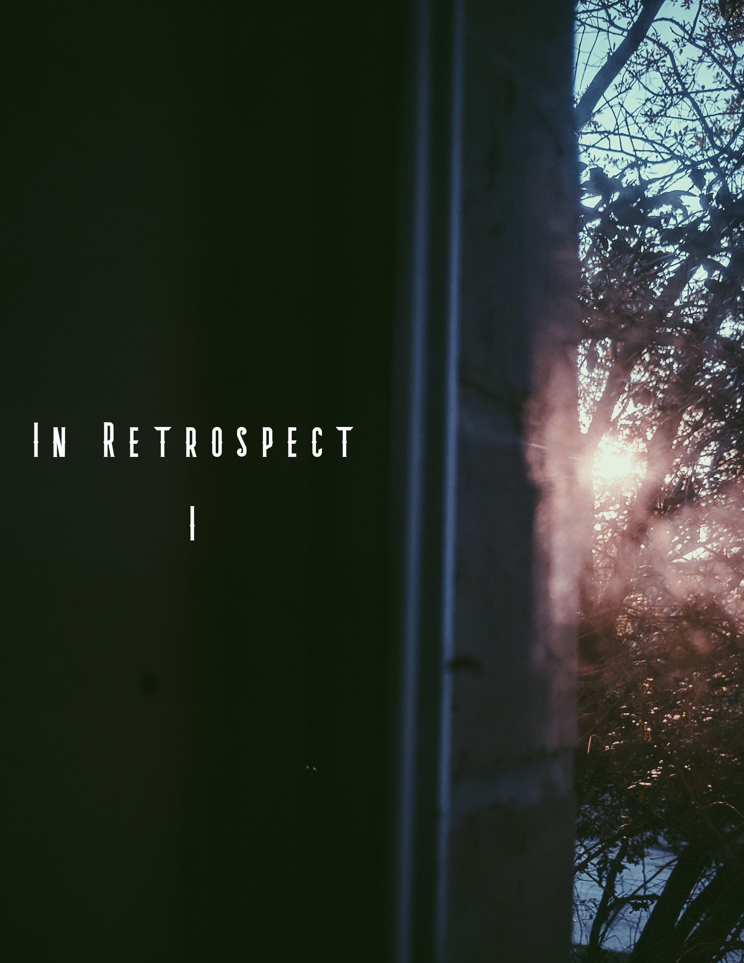 In Retospect 1 by Michael Raqim Mirajpg.jpg
