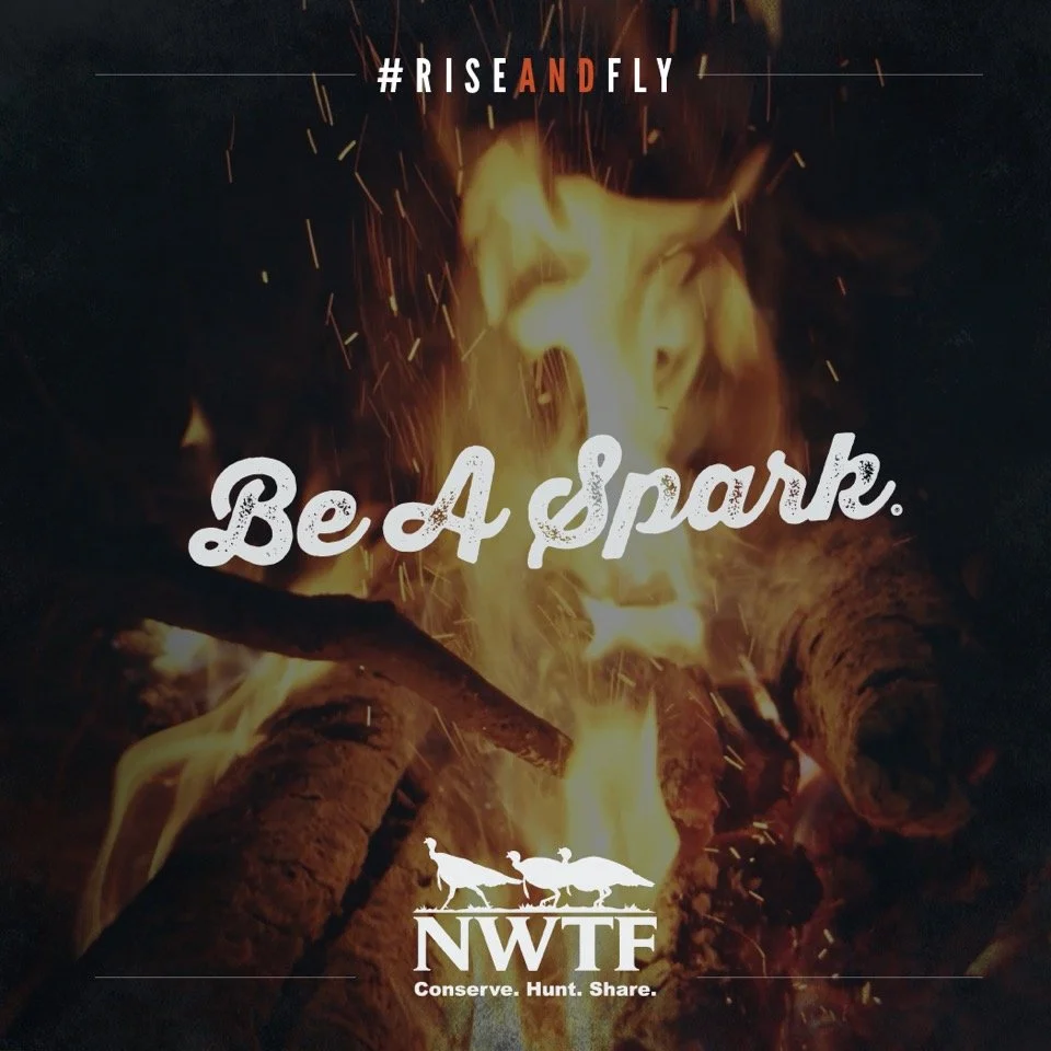 be-a-spark.jpeg