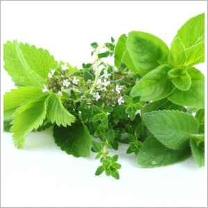 Herbs, Spices & Extracts