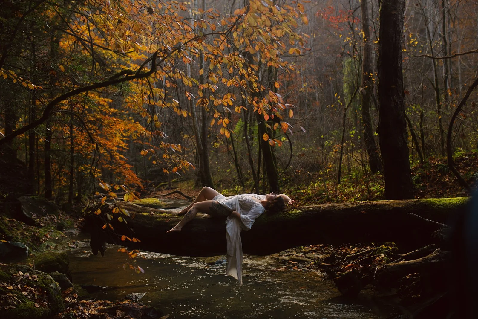 A woman in a white dress is lying on a fallen tree across a creek in a forest with autumn leaves.