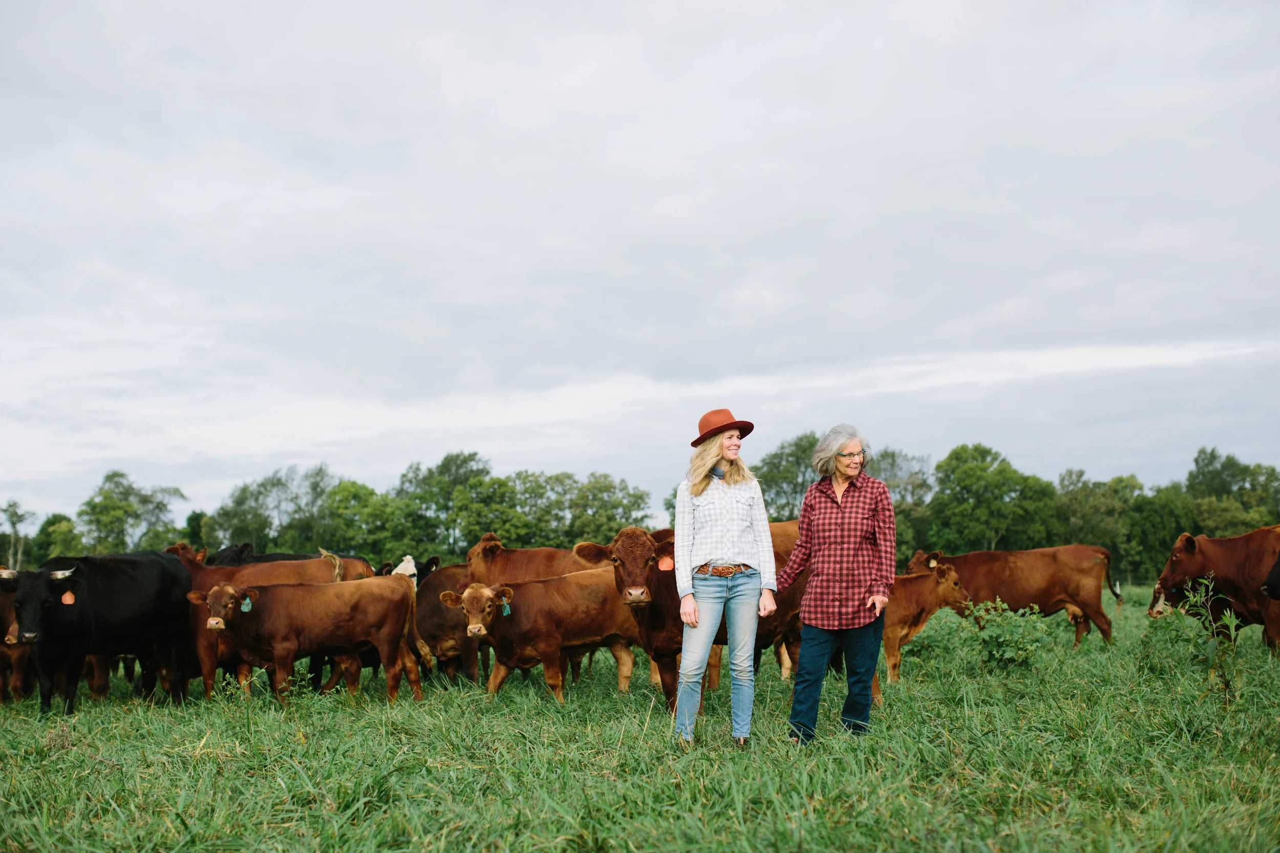 trent.kendra.farris.maggie.keith.foxhollow.farm.kentucky.cattle.family-51.jpg