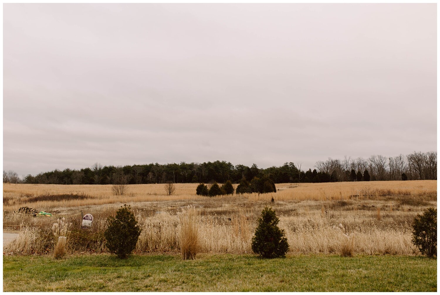 Kendra_Farris_Photography_intimate_wedding_photography_louisville-97.jpg