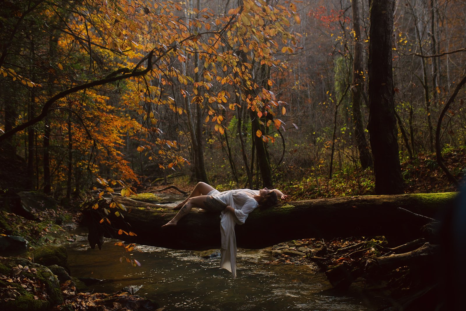 A woman lying on a fallen tree across a stream in a forest with autumn foliage.
