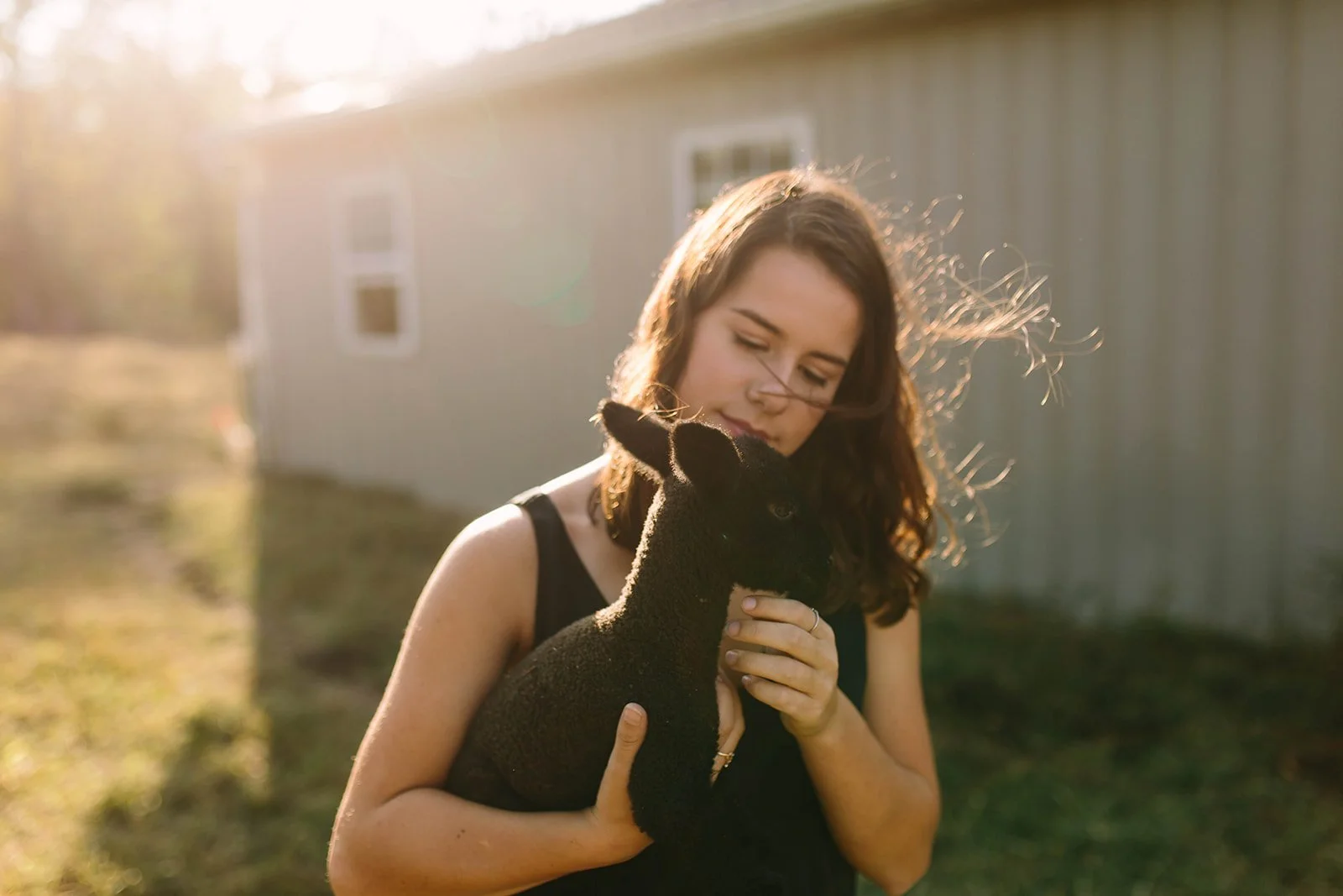 A woman with brown hair is holding a small black lamb close to her face outdoors during sunset.