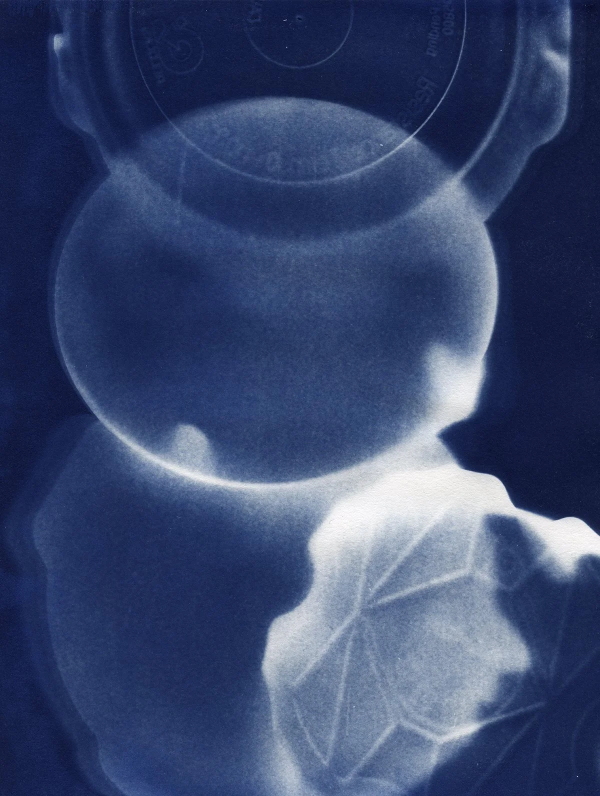 Bloom CAAF cyanotypes0004 4x5.jpg