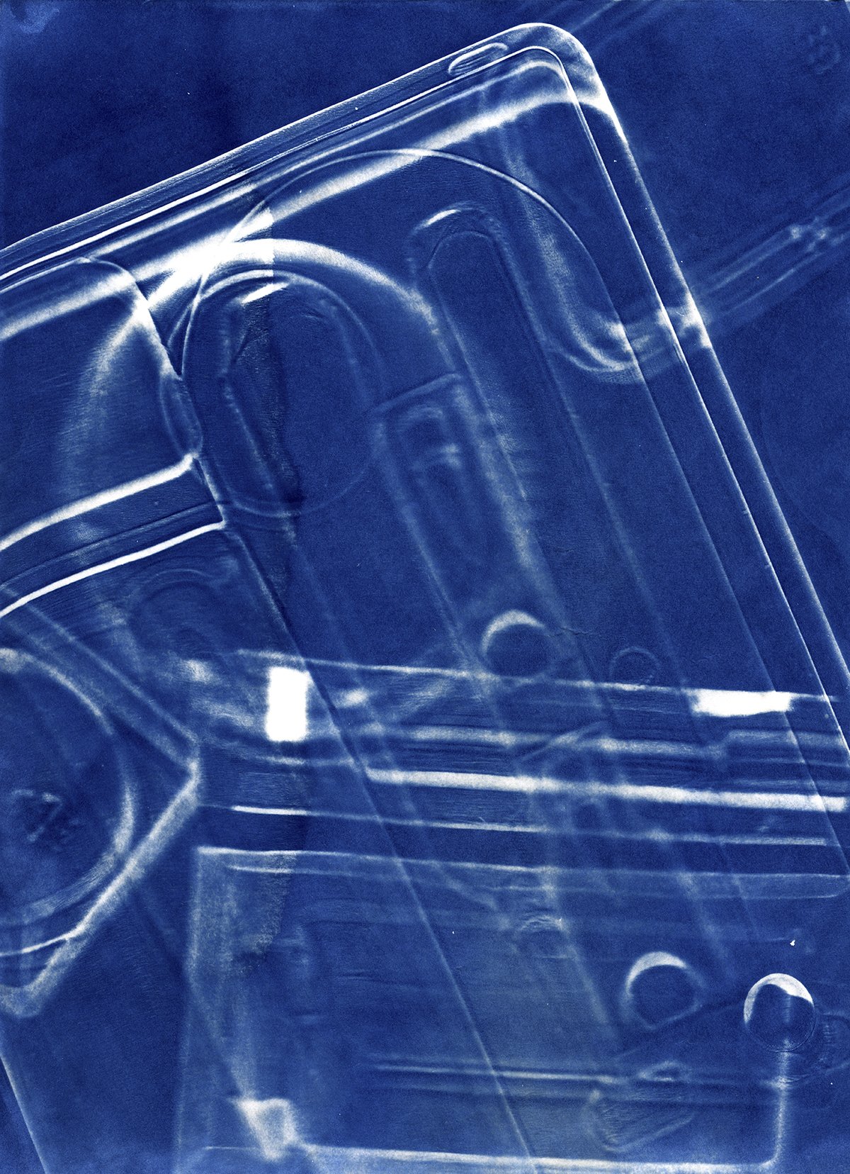Bloom CAAF cyanotypes0008 4x5.jpg