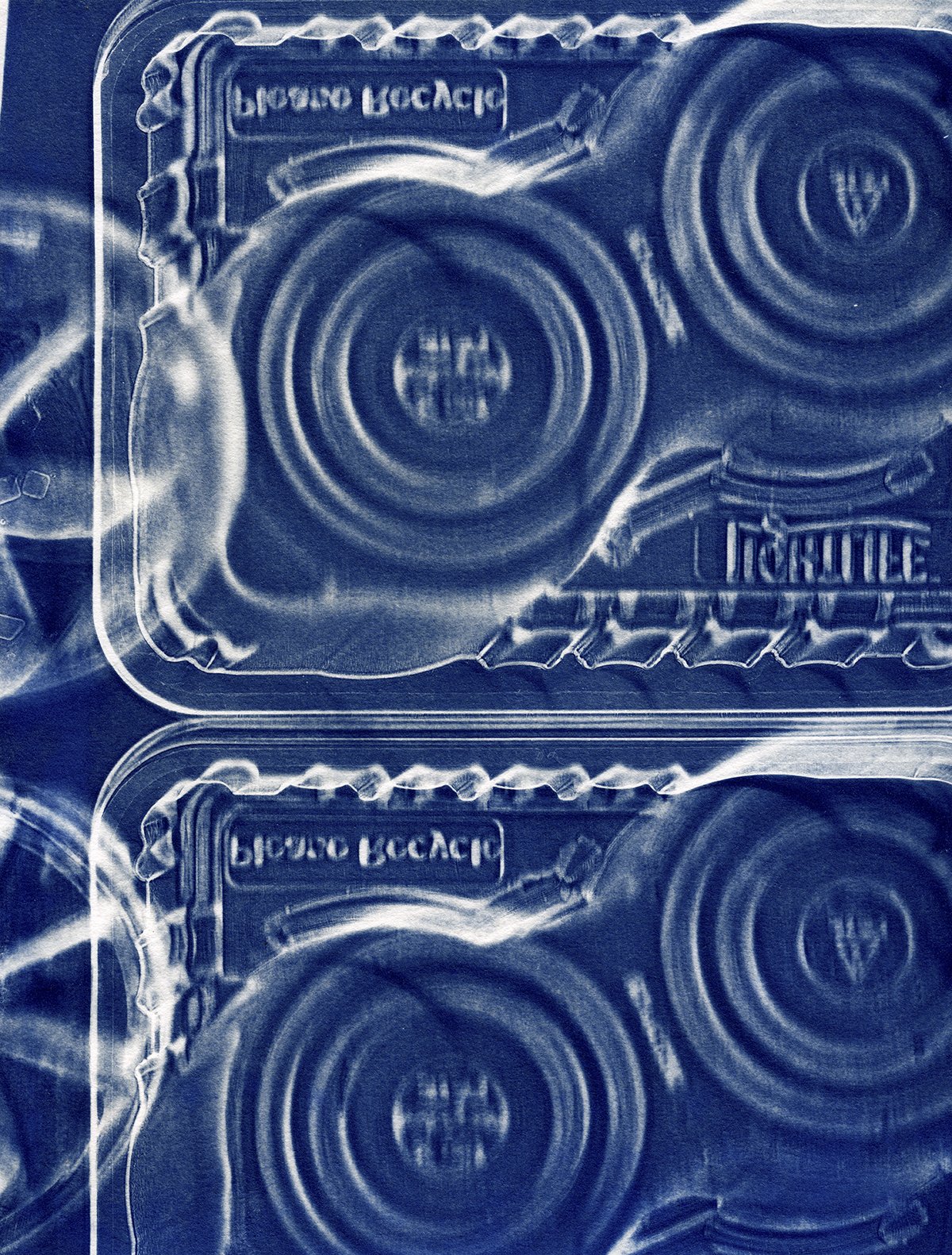 Bloom CAAF cyanotypes0025 4x5.jpg