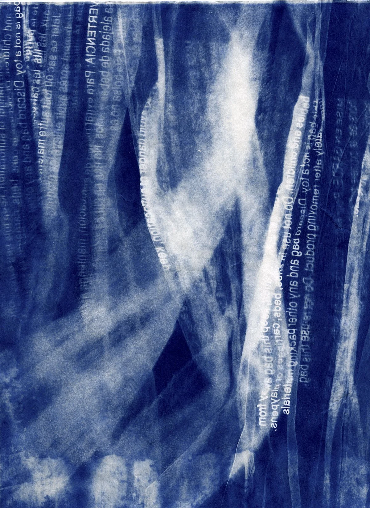 Bloom CAAF cyanotypes0027 4x5.jpg