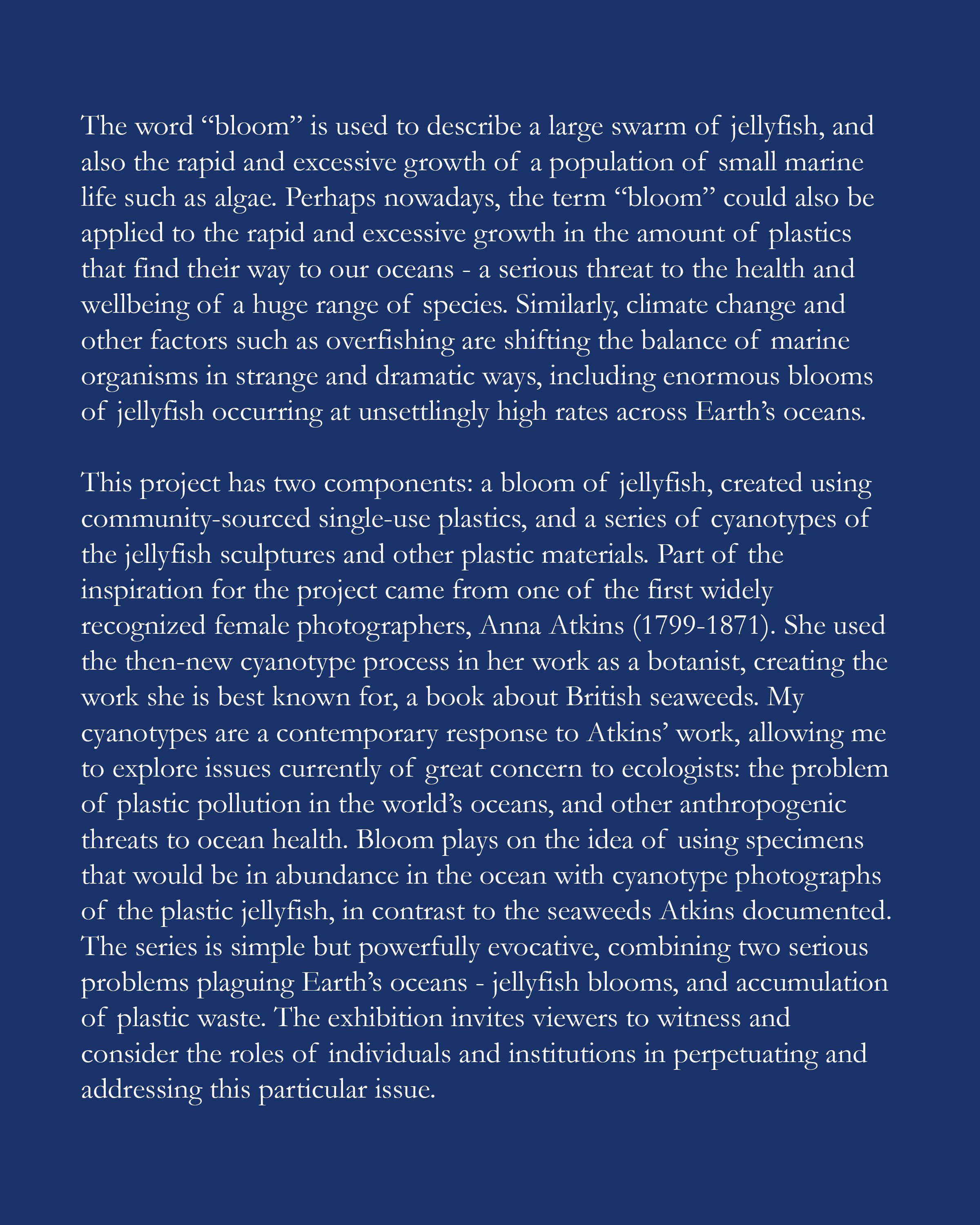 bloom blurb for website copy.jpg