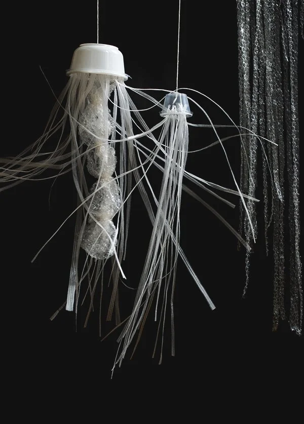 Bloom jellyfish call for participants Hajnoczky 1.jpg