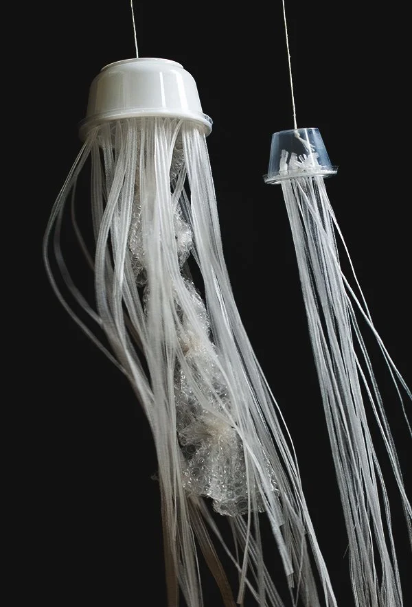 Bloom jellyfish call for participants Hajnoczky 2.jpg