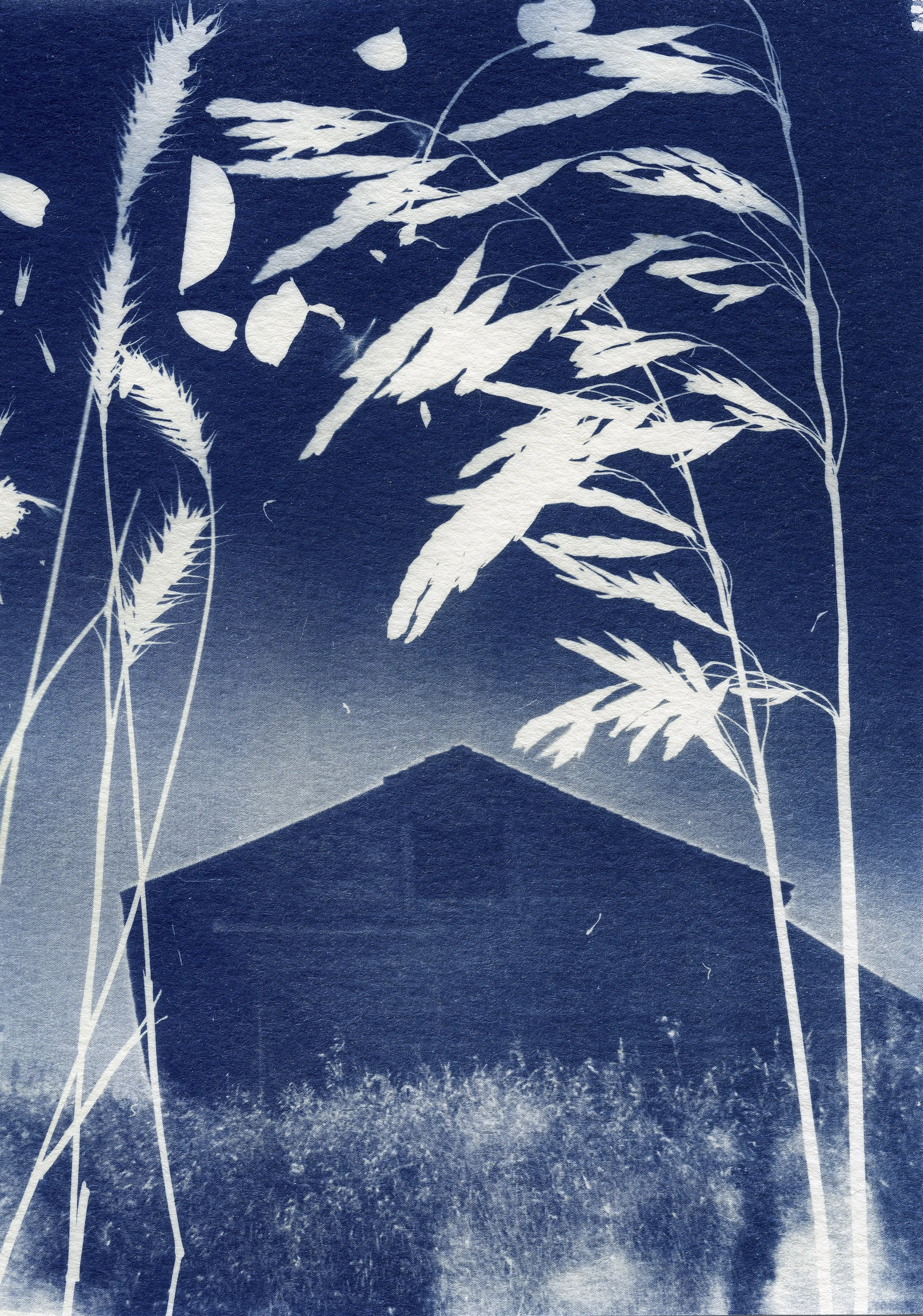 CAAF postcard high res scan untitled 3 copy.jpg