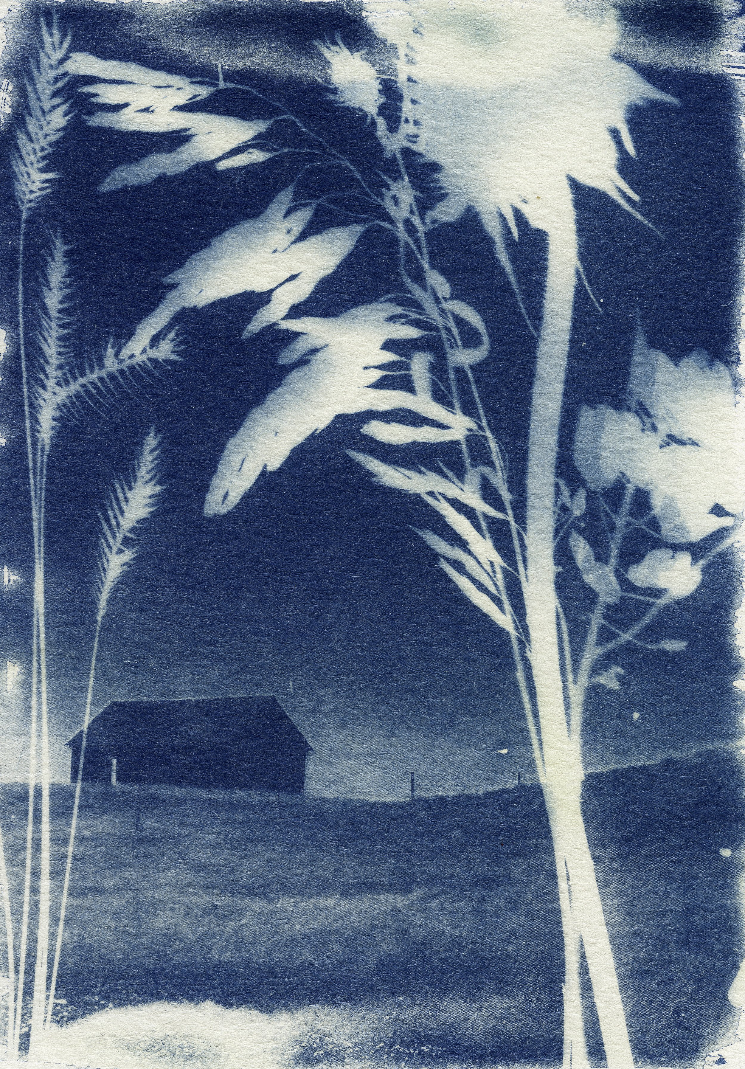 CAAF postcard high res scan untitled 4 copy.jpg