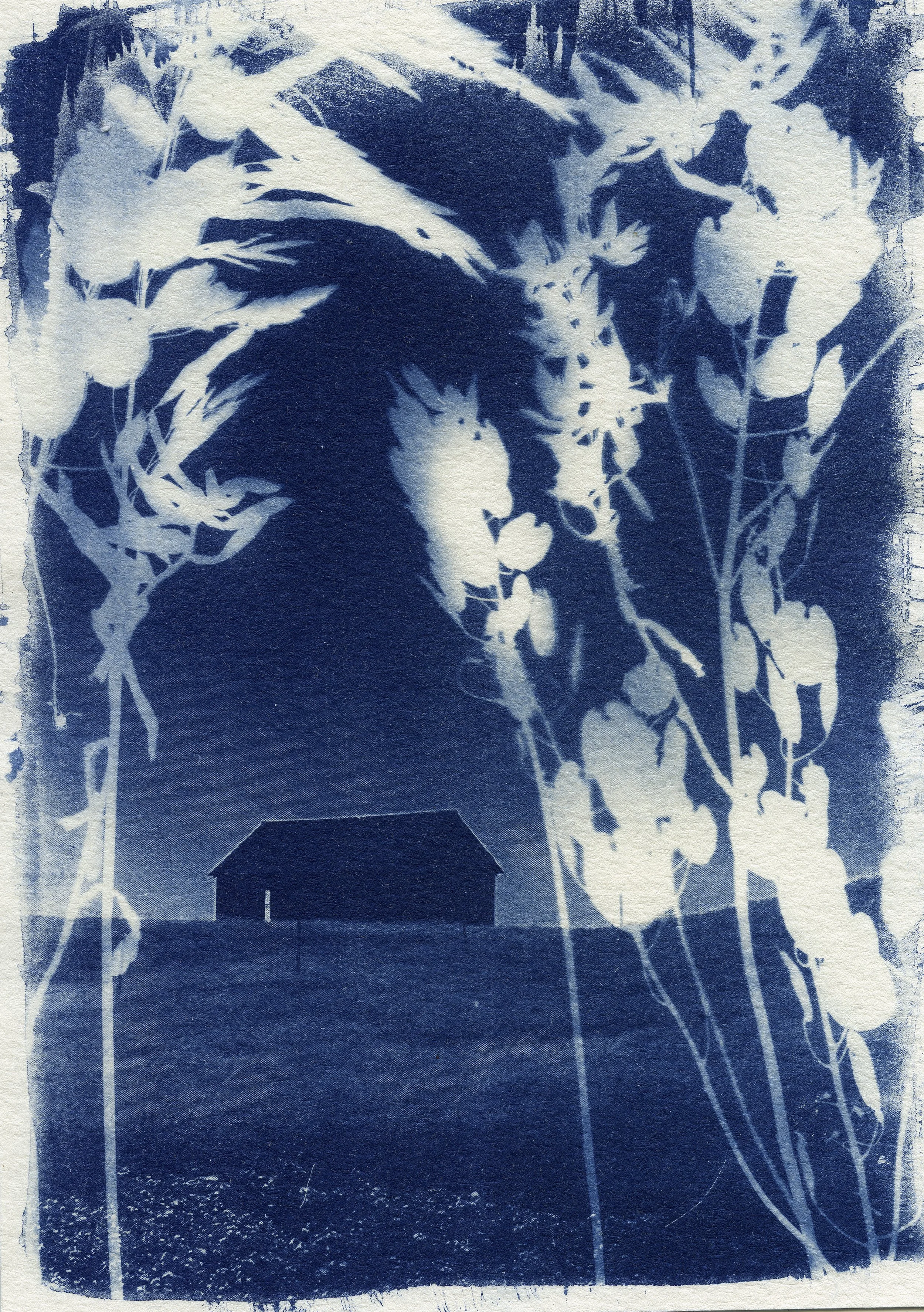 CAAF postcard high res scan untitled 5 copy.jpg
