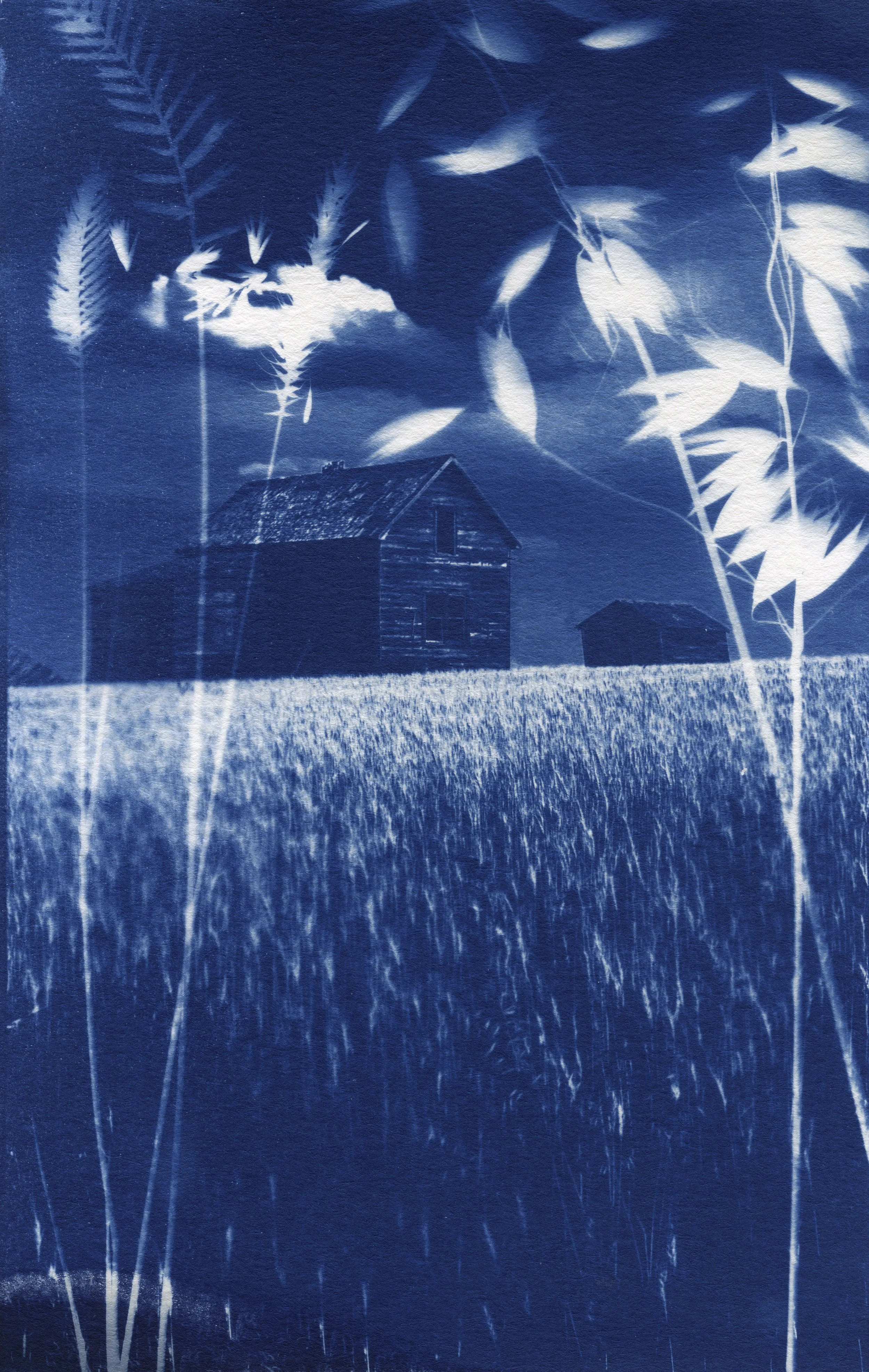 prairie biome0020 copy.jpg