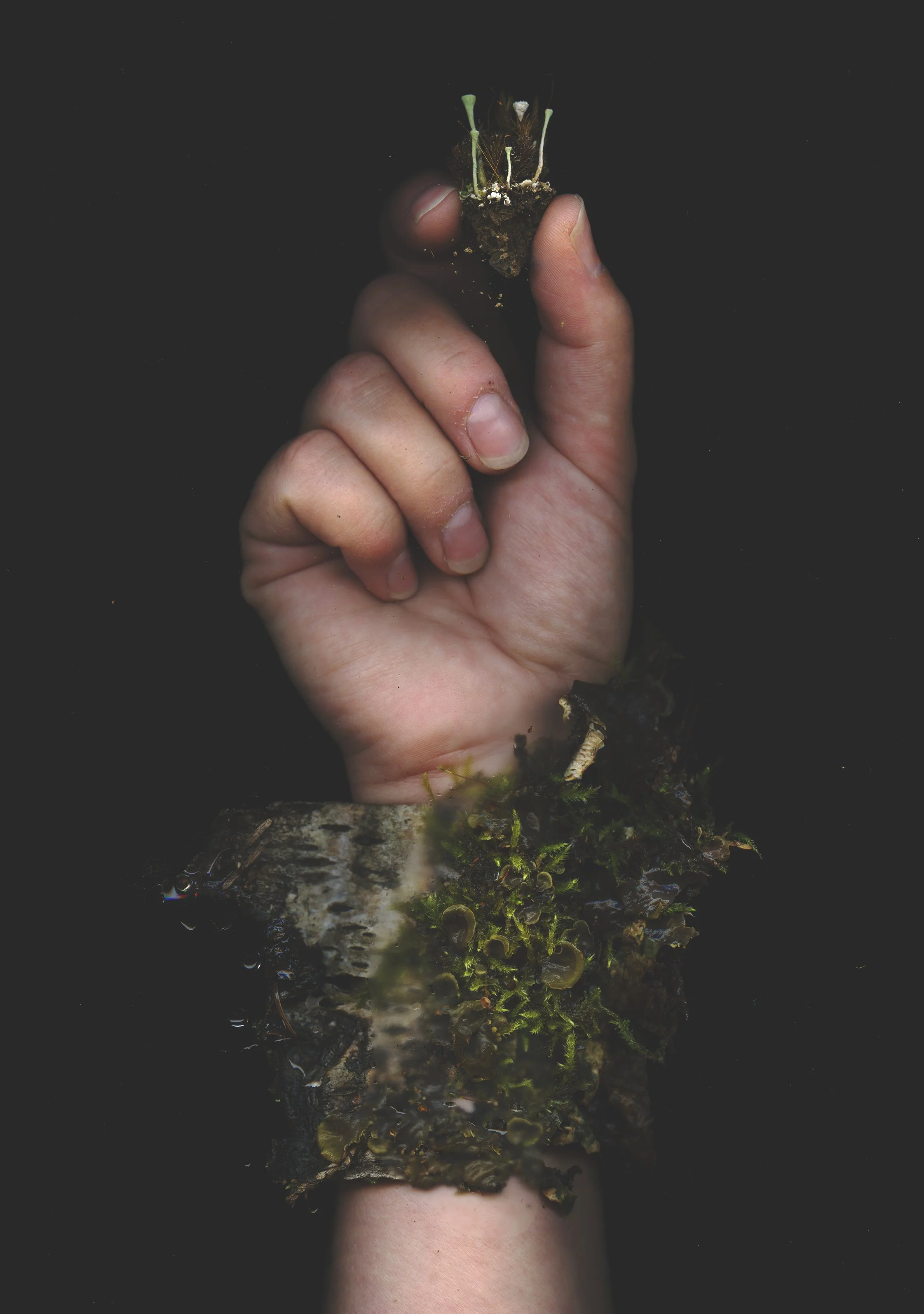 holding cladonia.jpg