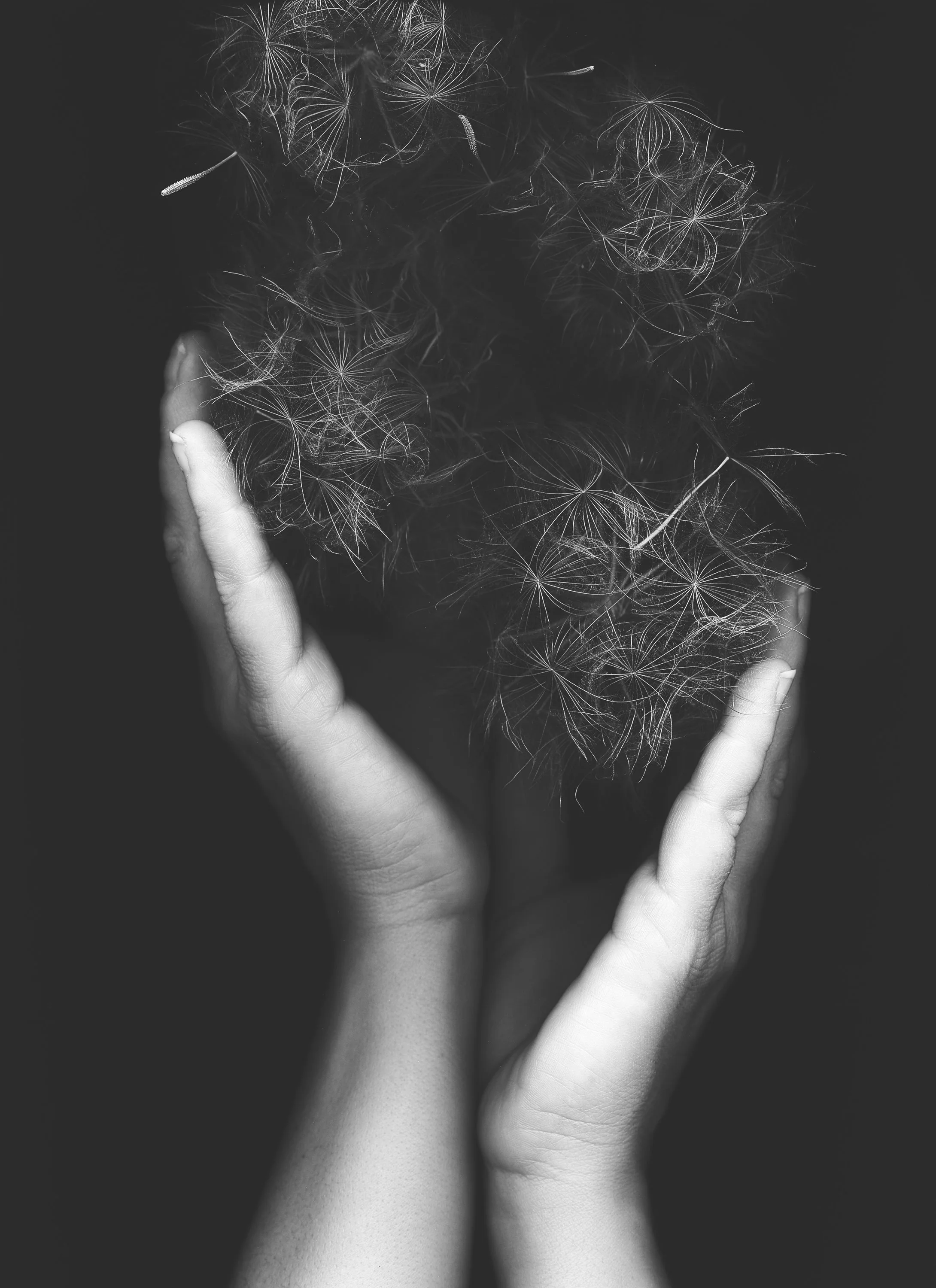 Holding Goat's Beard.jpg