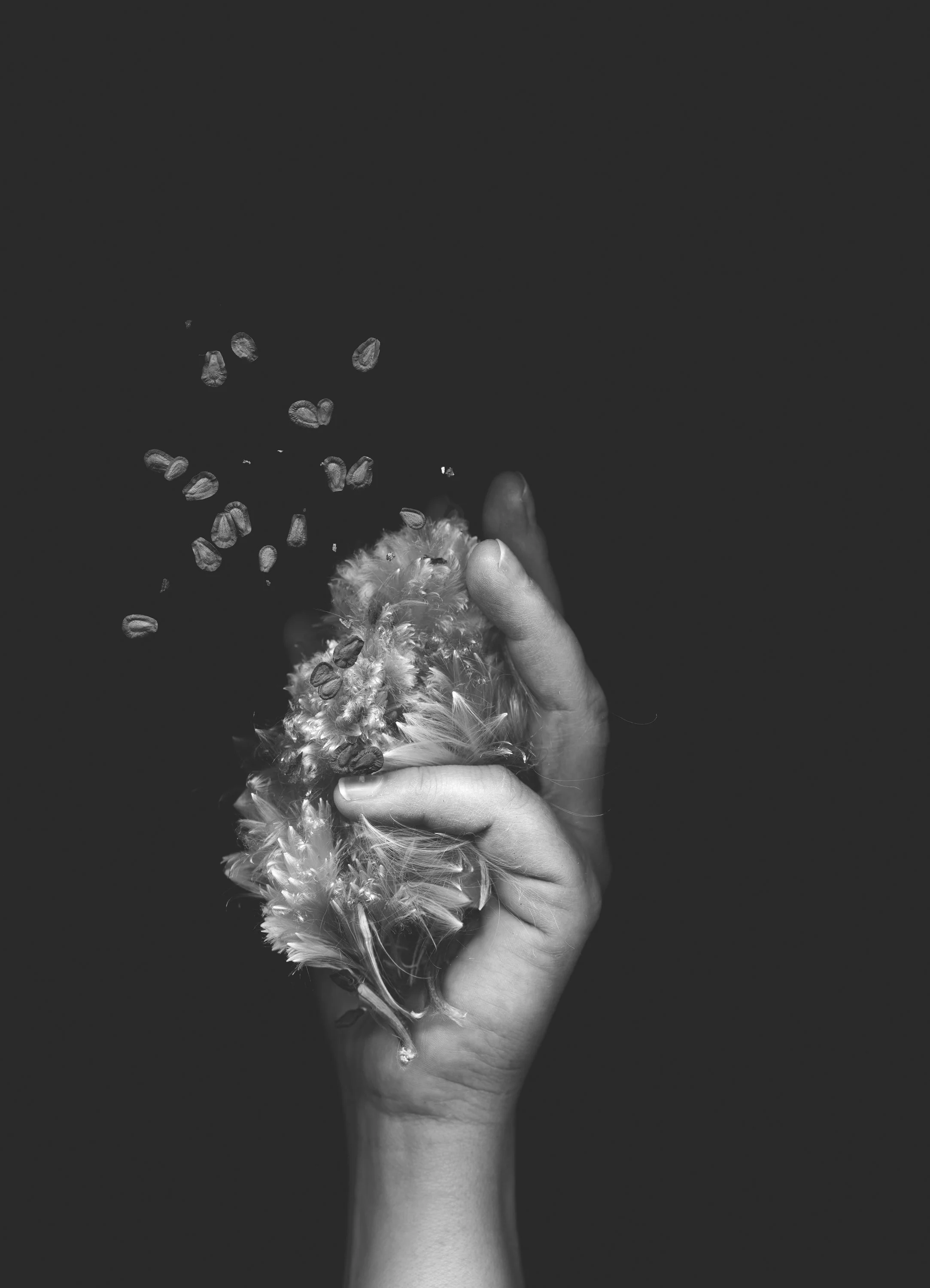 Holding Milkweed.jpg