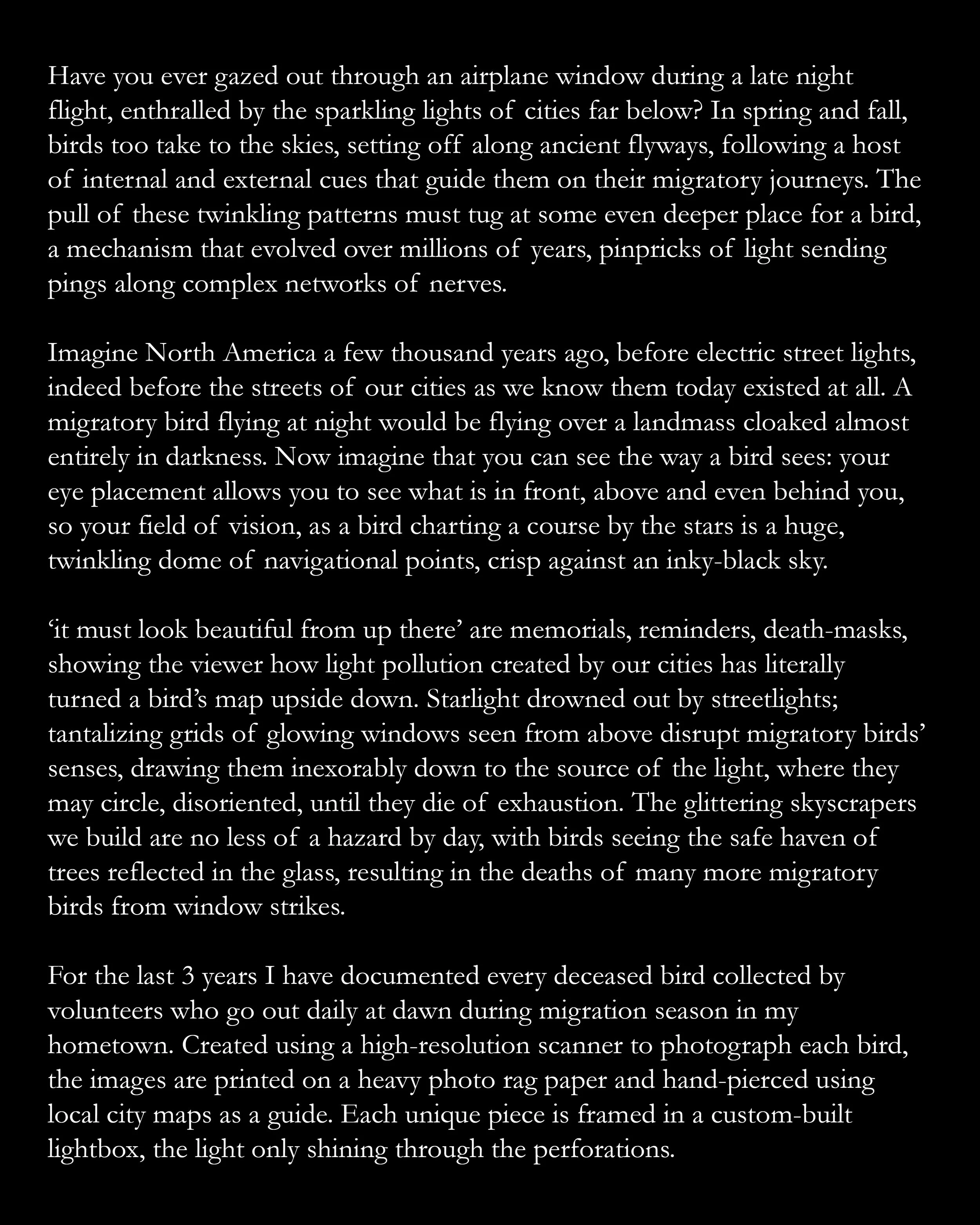 It must look beautiful artist statement for website.jpg