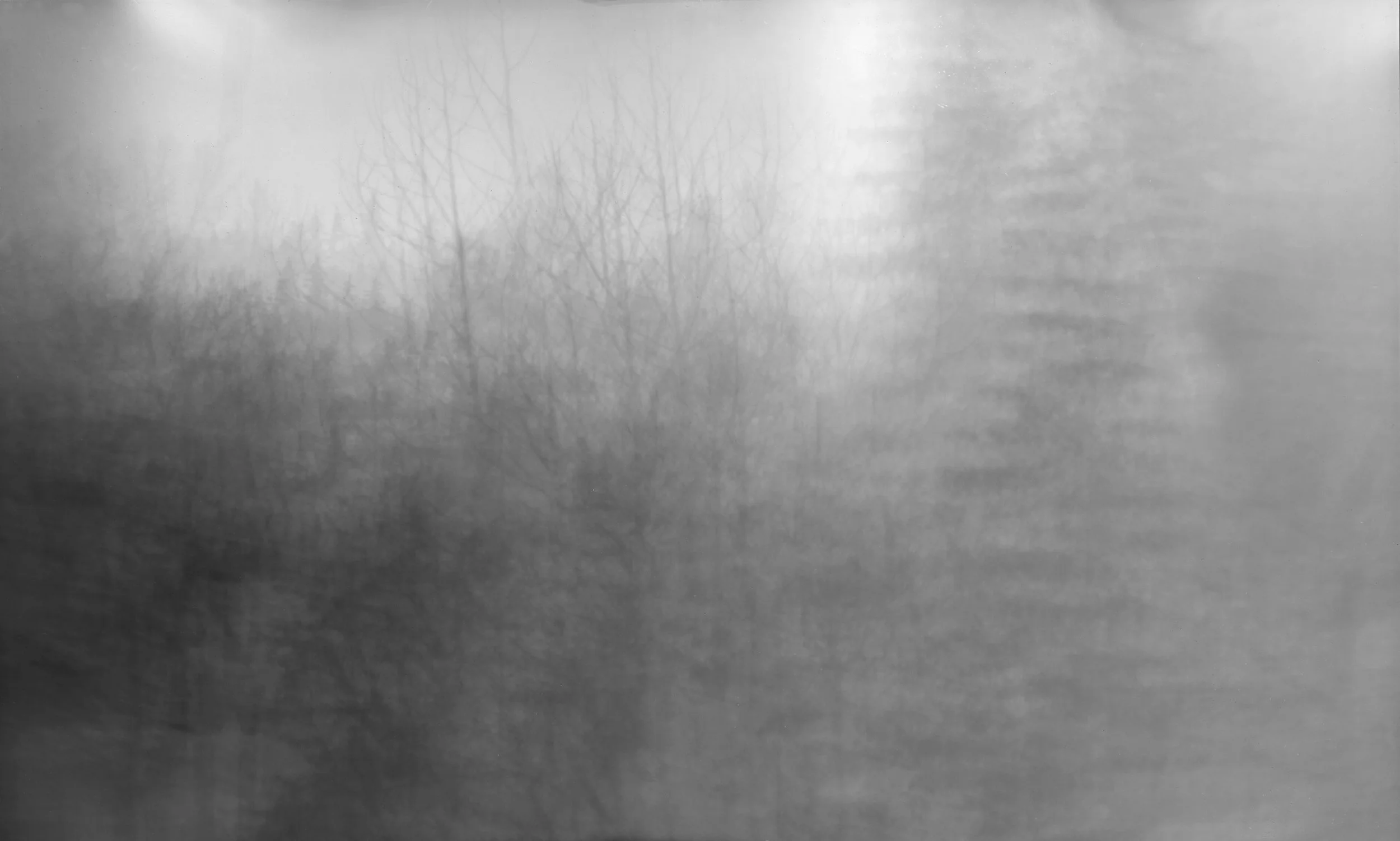 Beetle Cam 2501, 2025