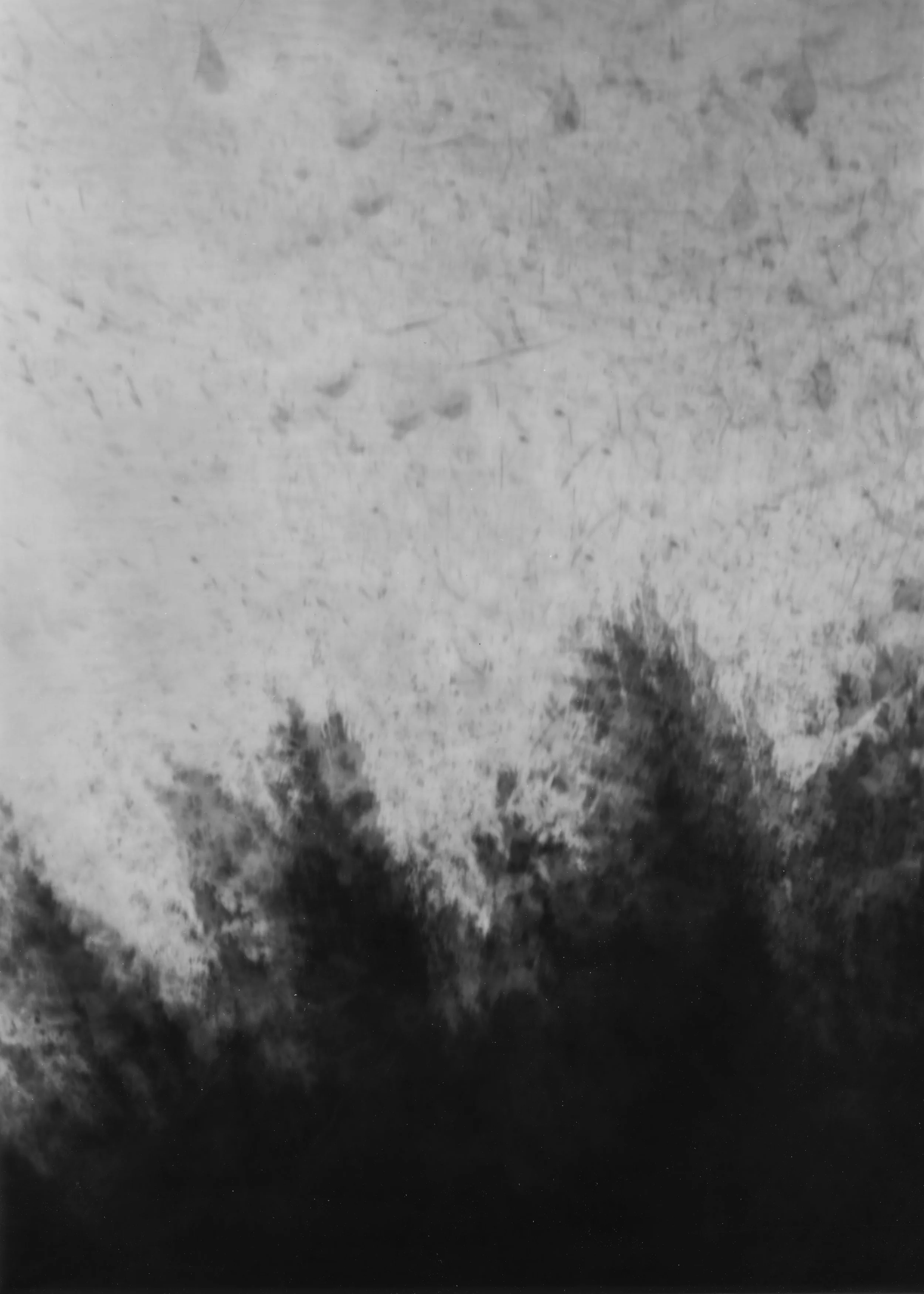 Beetle Cam 07, 2024, in-camera diptych part 1