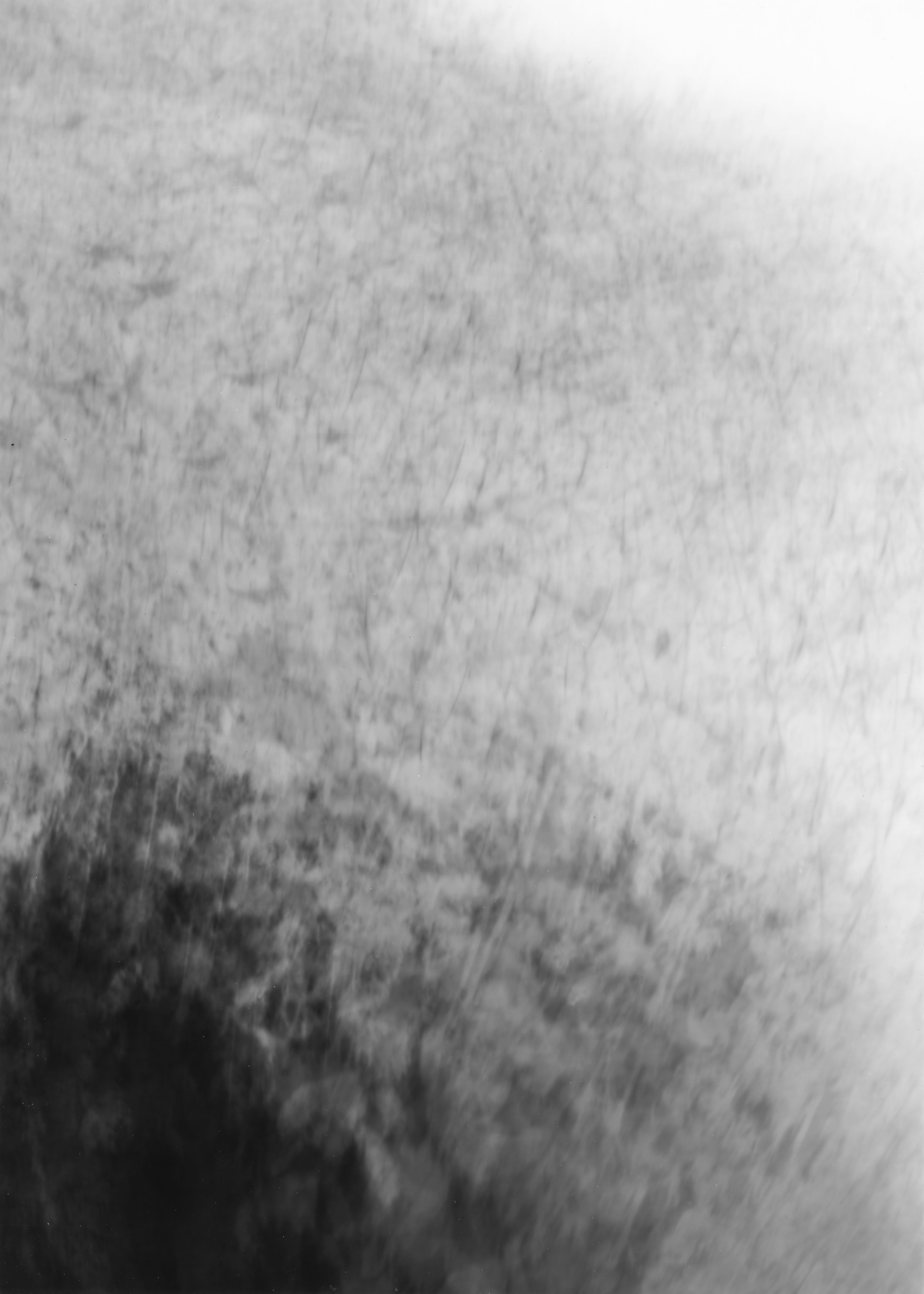 Beetle Cam 07, 2024, in-camera diptych part 2