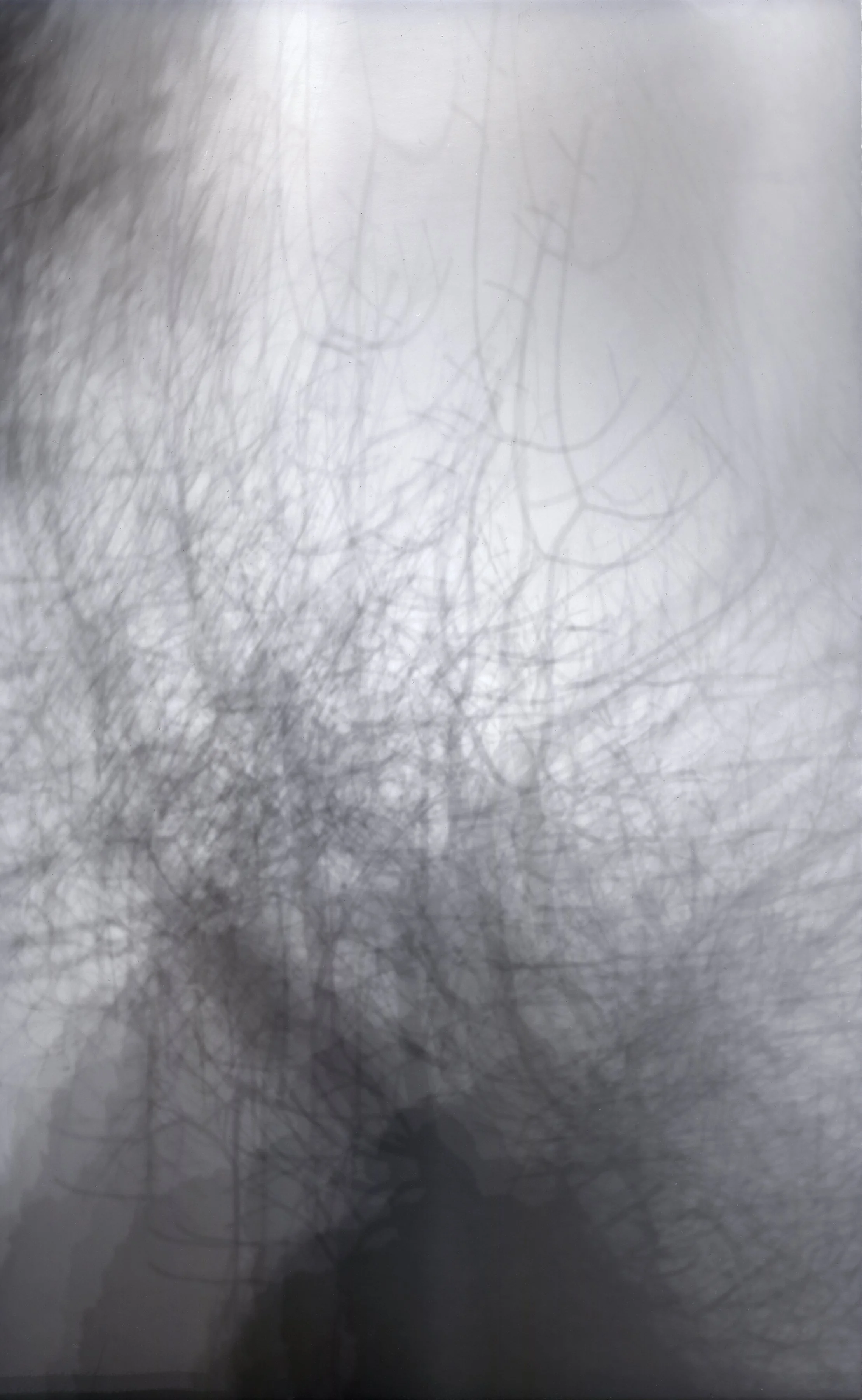 Beetle Cam 2502, 2025