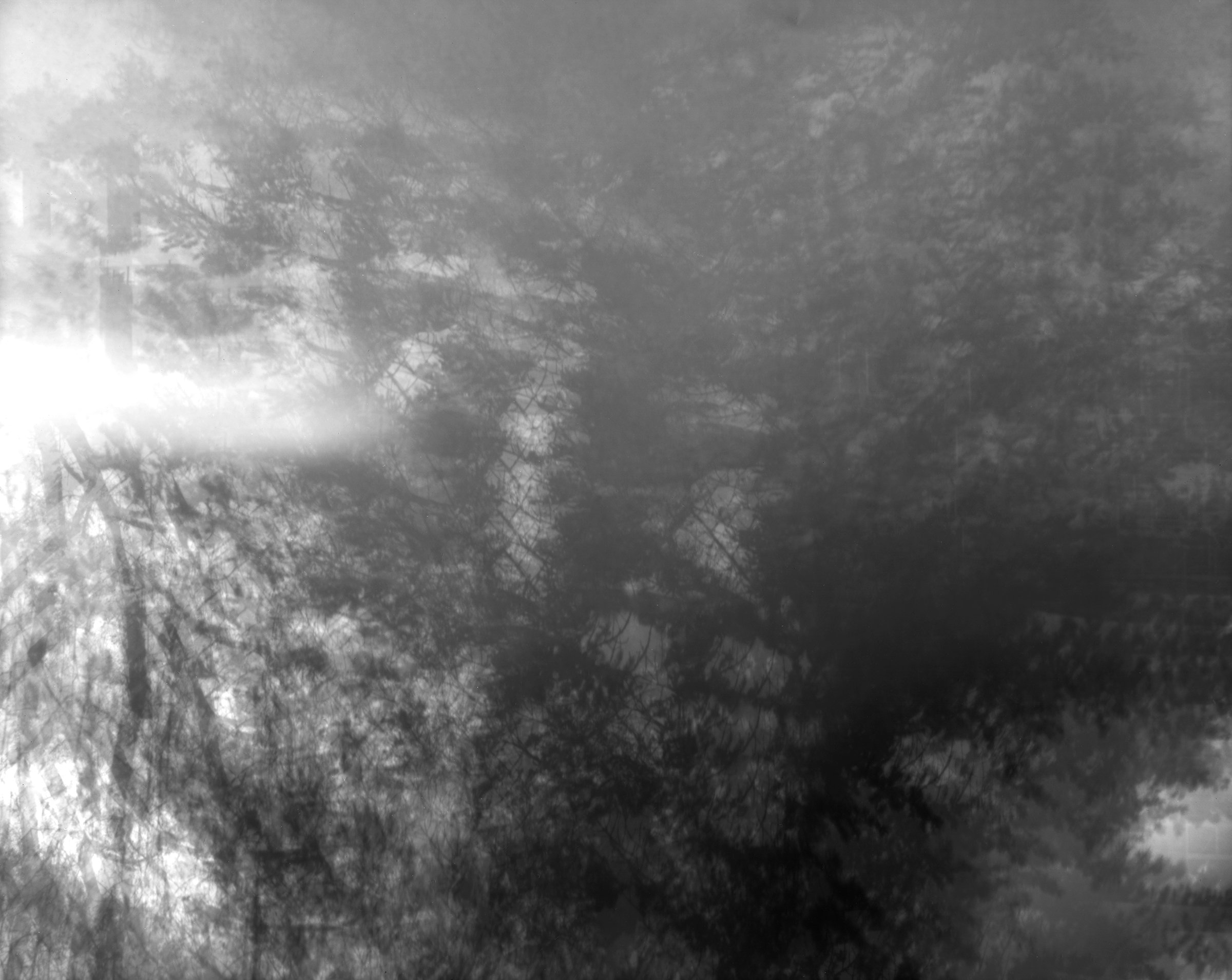 Beetle Cam 2505, 2025