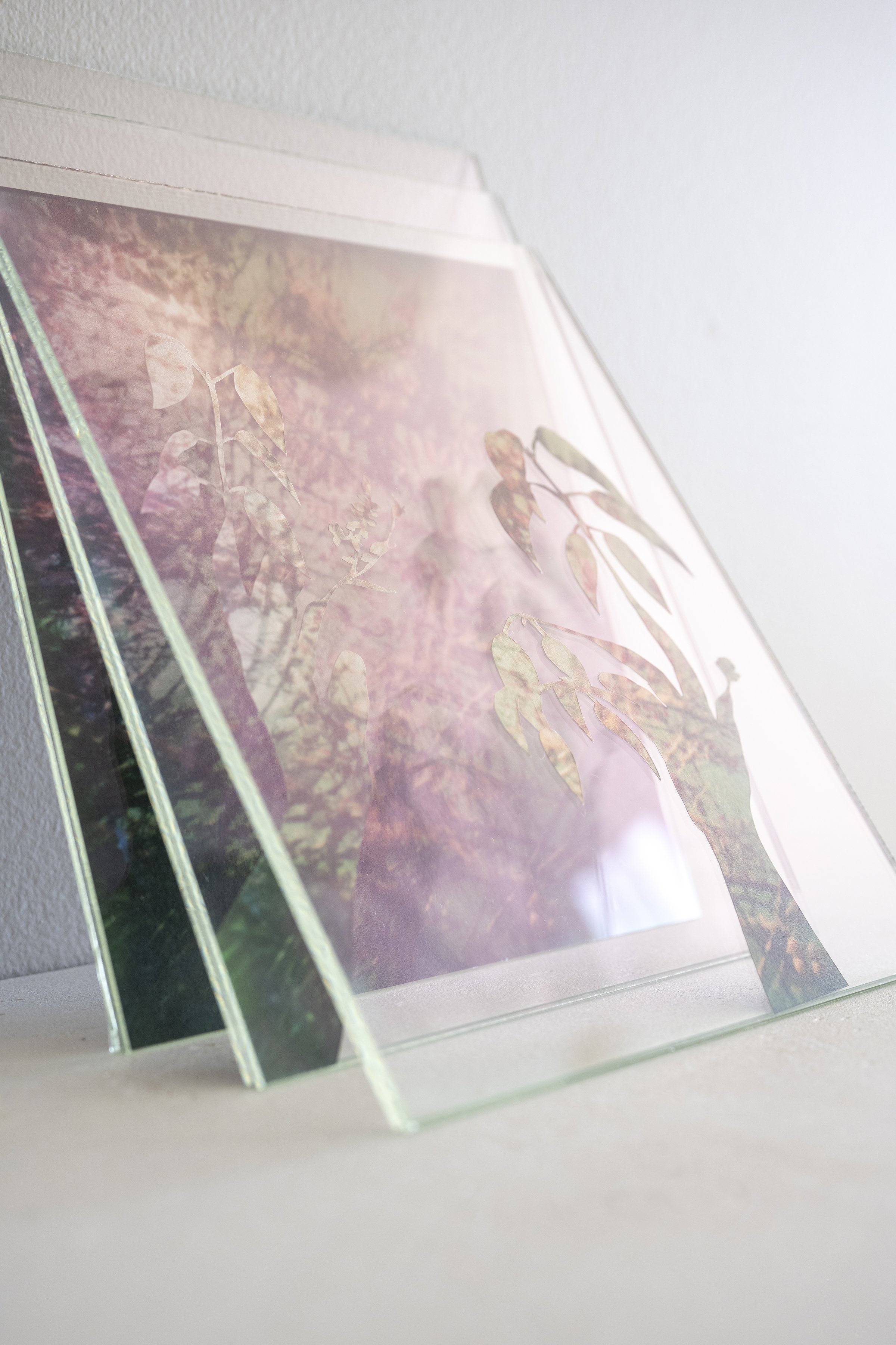 my presence is between the trees, 2026