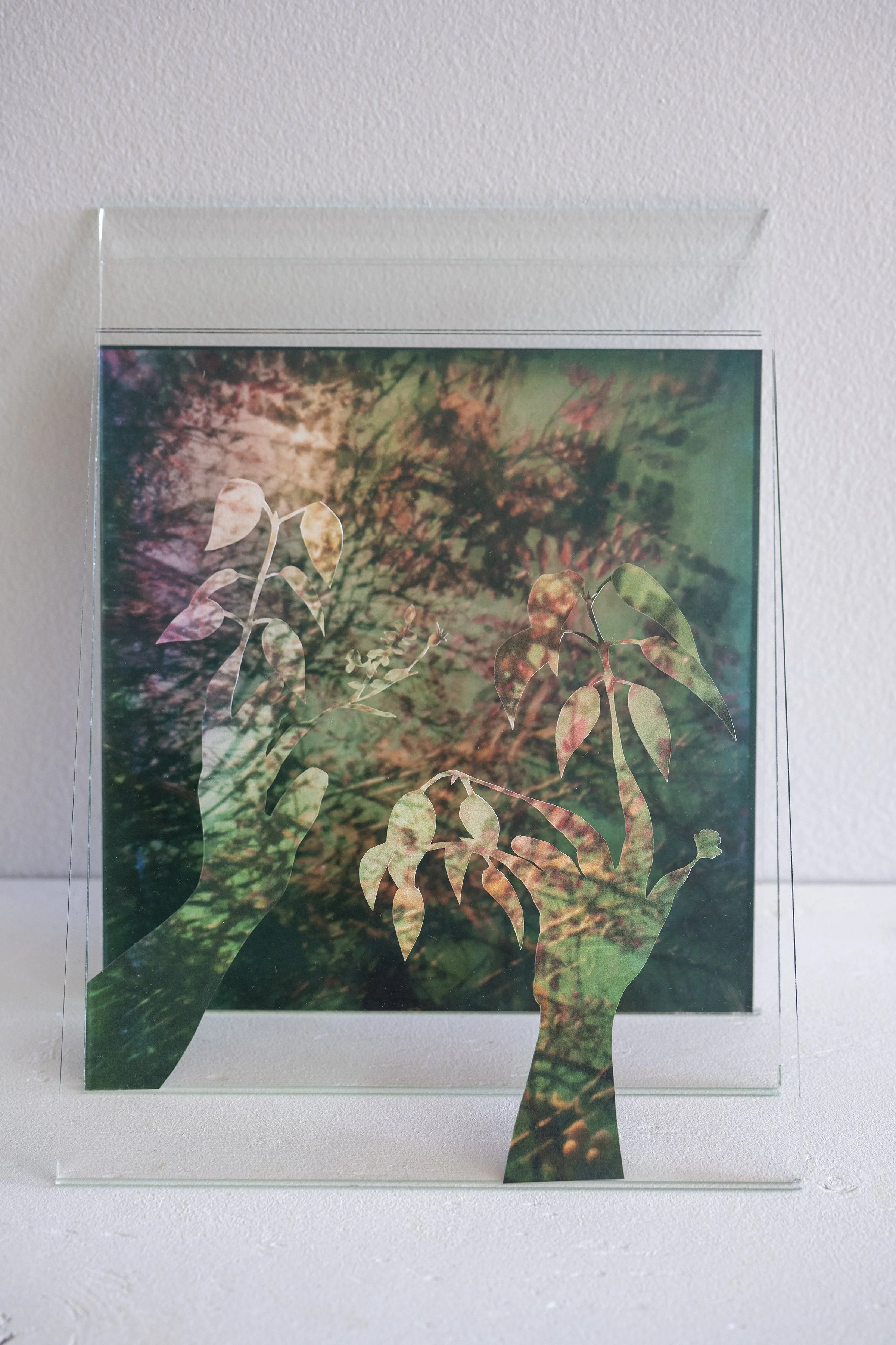 my presence is between the trees, 2026