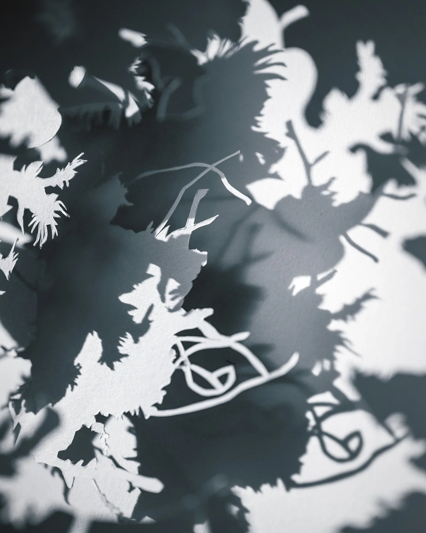 Making some strange new work and you can see it in person at MUSE Opening Night &ndash; this Thursday Feb 27 @studio122yyc 
Join us at Studio 122 for an unforgettable night celebrating 16 local photographers as part of Calgary&rsquo;s @exposurephotof