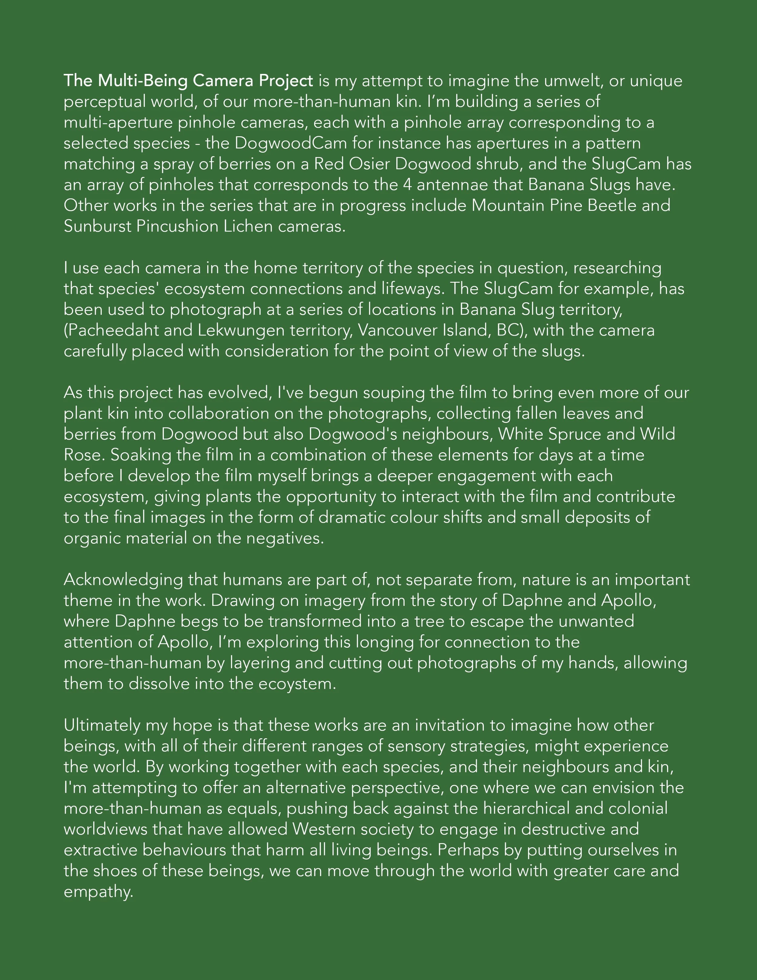 Multi-Being Camera Project blurb.jpg