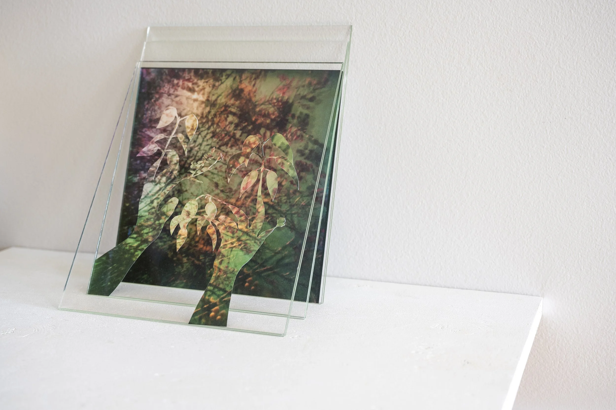 my presence is between the trees, 2026