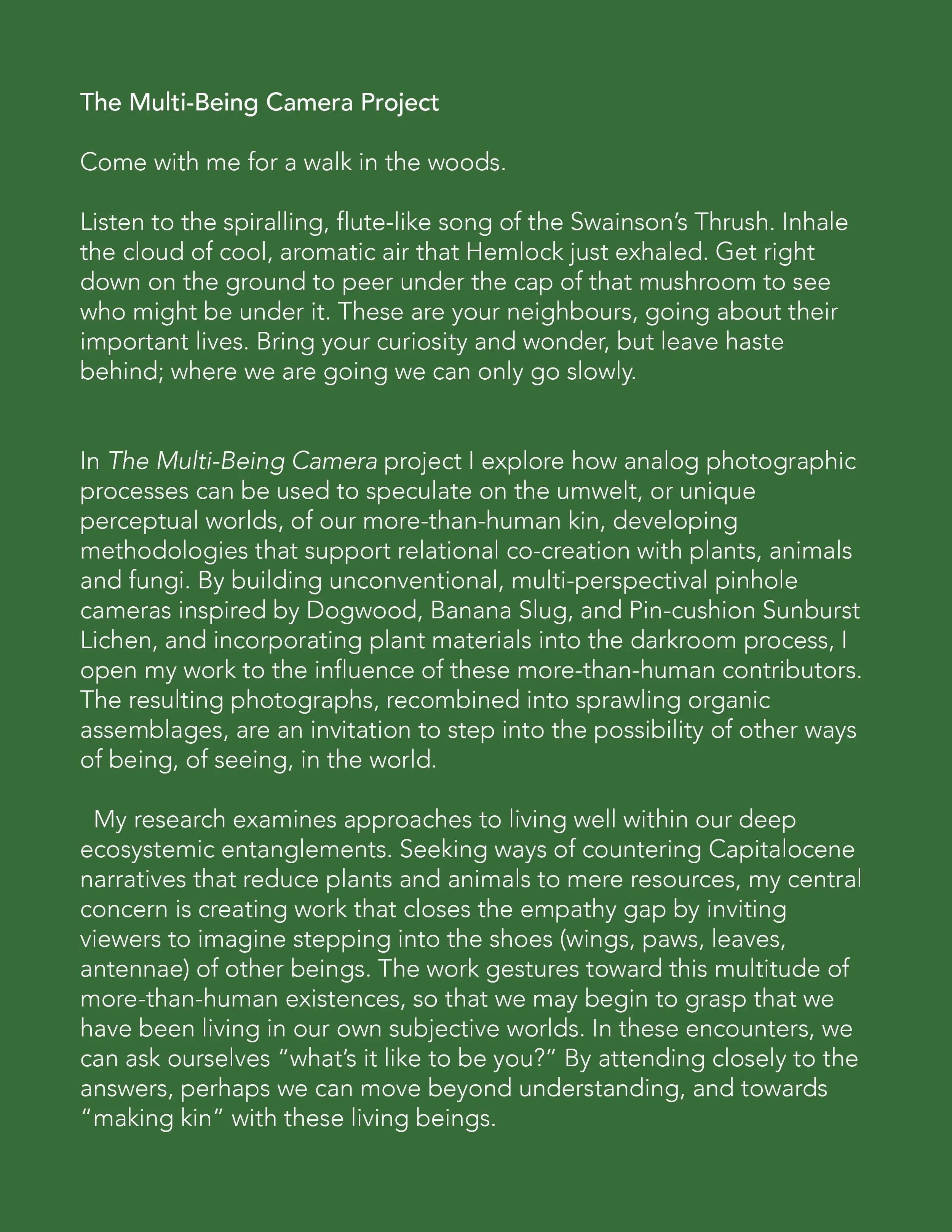 Multi-Being+Camera+Project+blurb.jpg