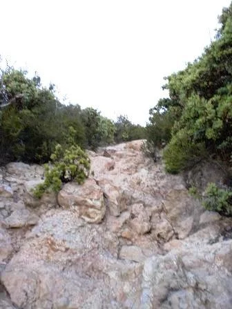 The trail to Boney Peak is up this way. At this point, the trails are often narrow, steep, rocky and slippery. Be careful!