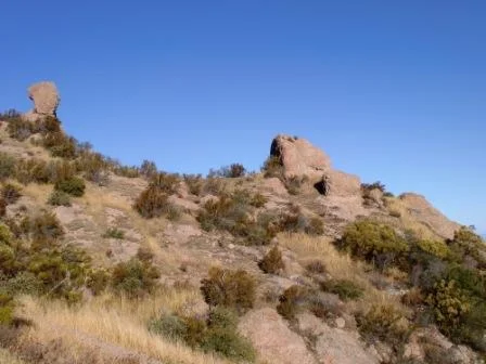 Near the top of Boney Peak.