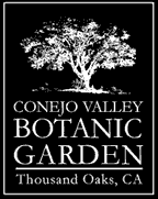 CVBG_logo3.gif