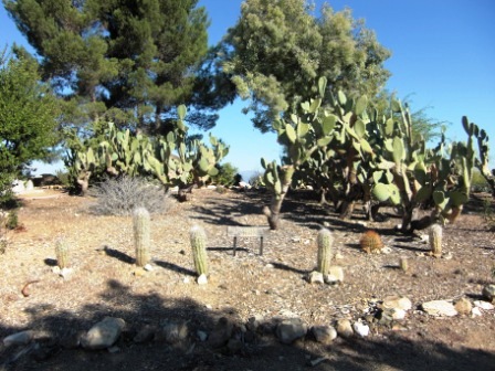 Conejo Valley Botanic Garden Thousand Oaks Conejo Valley Guide