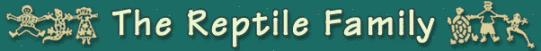 thereptile family.gif