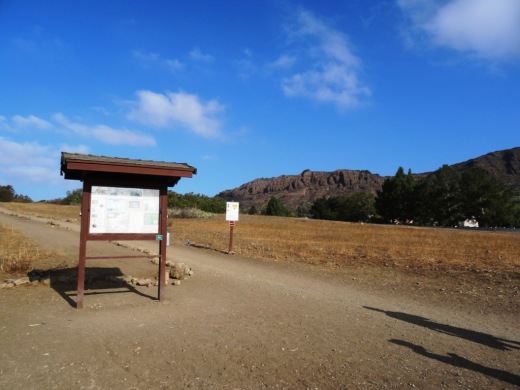 Paradise Falls Hike - Wildwood Park in Thousand Oaks — Conejo Valley Guide