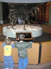 fossil.jpg