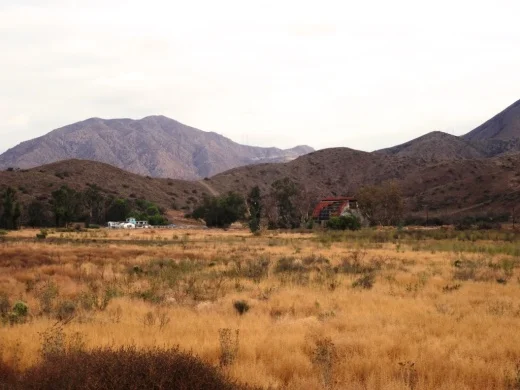 Disbanded dairy farm in the distance at CSU Channel Islands University Park