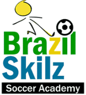 BrazilSkillz_logo.gif