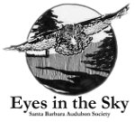 EyesInTheSky.png