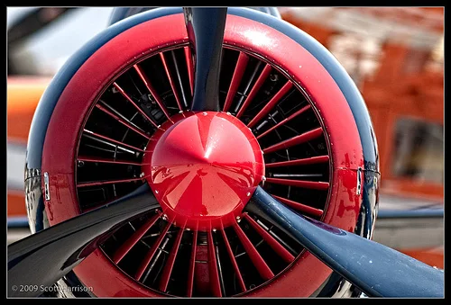 Wings_ScottH_4.jpg