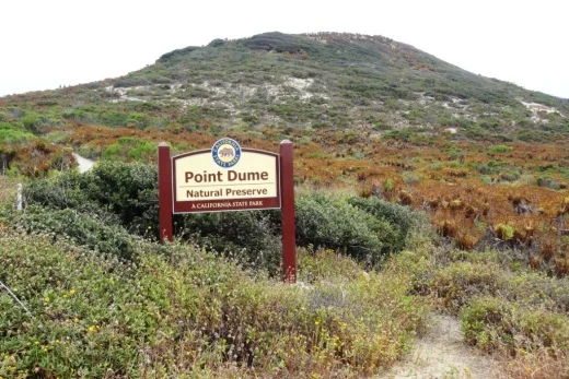 PointDumeSign.jpg