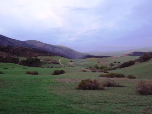 It is pretty dry in here most of the year but after the winter/spring rains, the green stages a comeback.