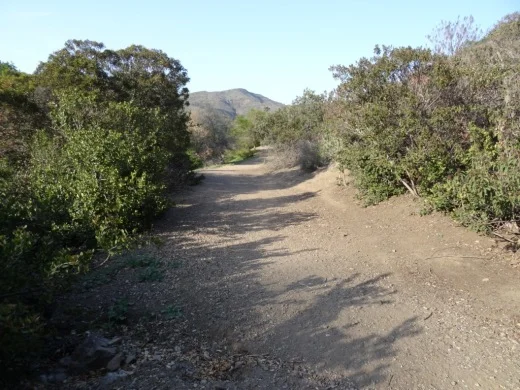A trail at Camarillo Grove Park