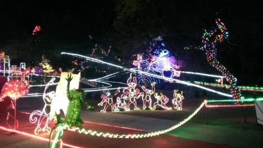Scene from LA Zoo Lights 2014