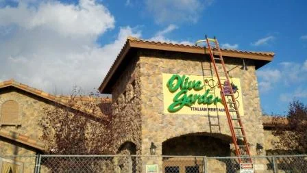 OliveGarden111911.jpg